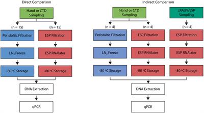 In situ Autonomous Acquisition and Preservation of Marine Environmental DNA Using an Autonomous Underwater Vehicle